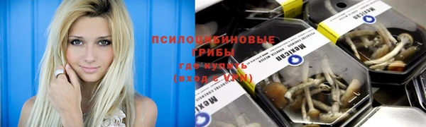 мескалин Каменск-Шахтинский