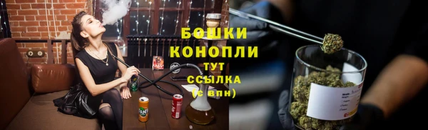 прущая мука Каменка