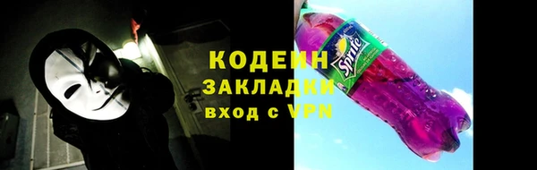 стаф Каменногорск
