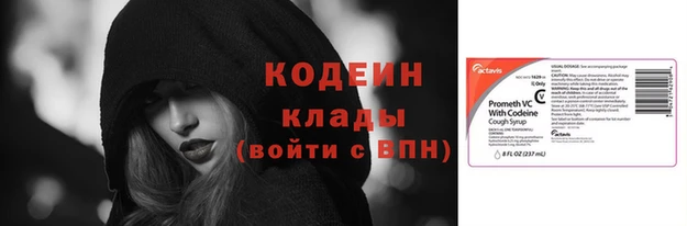 стаф Каменногорск