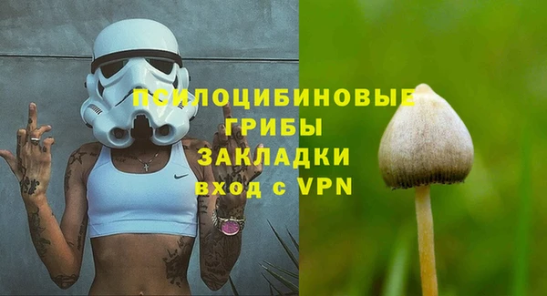 прущая мука Каменка